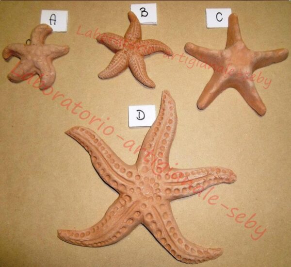 Art. C/45D cm. 17 STELLE MARINE